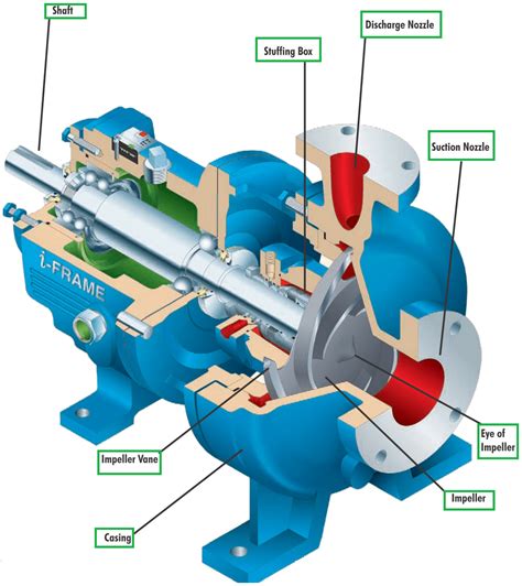 vertical centrifugal pump maintenance